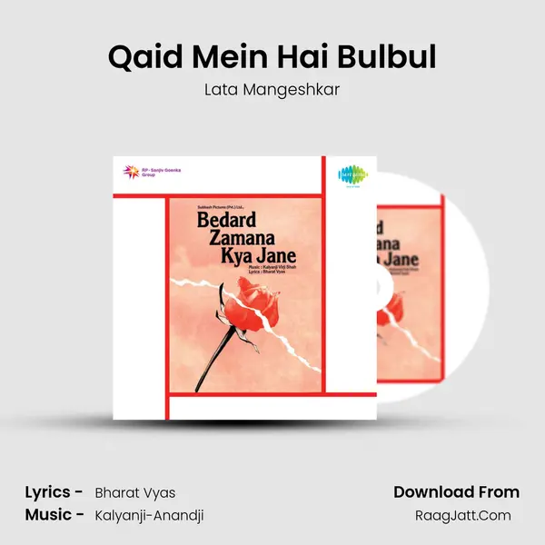 Qaid Mein Hai Bulbul MP3 Song by Lata Mangeshkar Cover