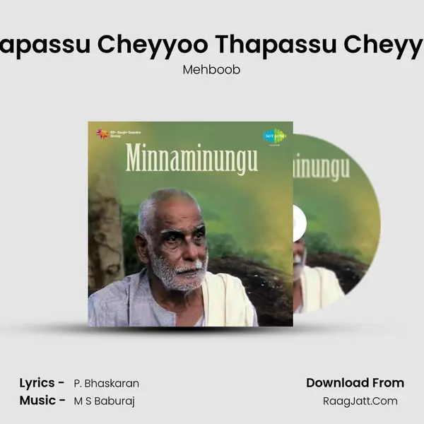 Thapassu Cheyyoo Thapassu Cheyyoo MP3 Song by Mehboob Cover