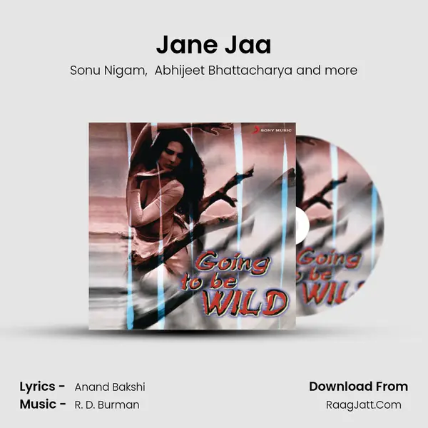 Jane Jaa MP3 Song by Sonu Nigam Cover