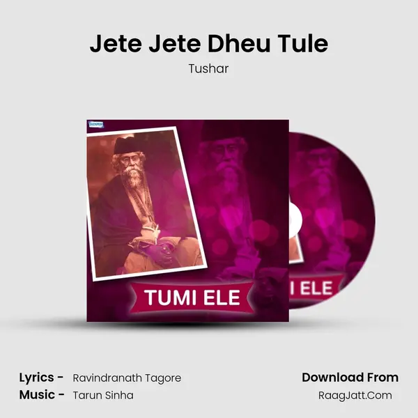 Jete Jete Dheu Tule MP3 Song by Tushar Cover