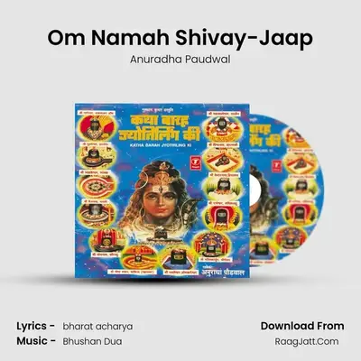 Om Namah Shivay-Jaap MP3 Song by Anuradha Paudwal Cover