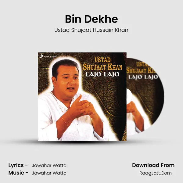 Bin Dekhe MP3 Song by Ustad Shujaat Hussain Khan Cover