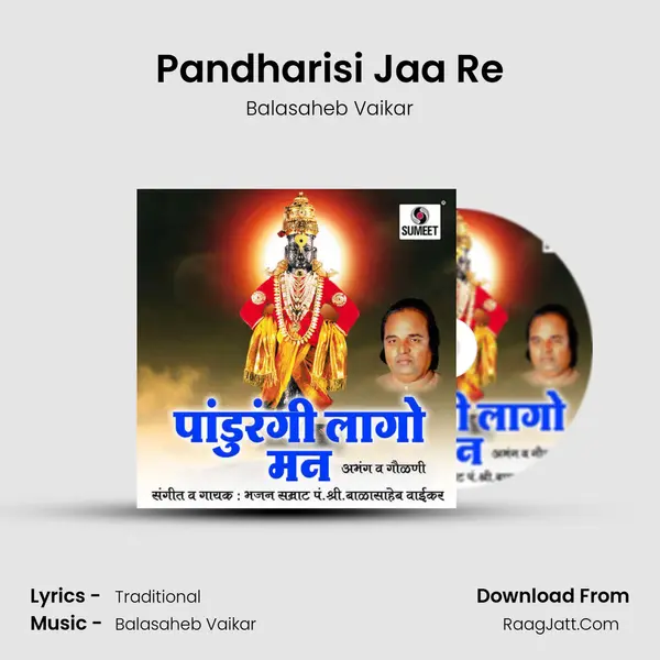 Pandharisi Jaa Re Cover