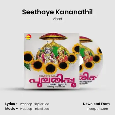 Seethaye Kananathil MP3 Song by Vinod Cover
