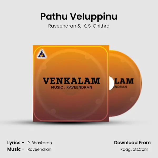 Pathu Veluppinu MP3 Song by Raveendran Cover