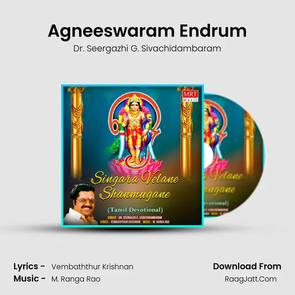 Agneeswaram Endrum MP3 Song by Dr. Seergazhi G. Sivachidambaram Cover