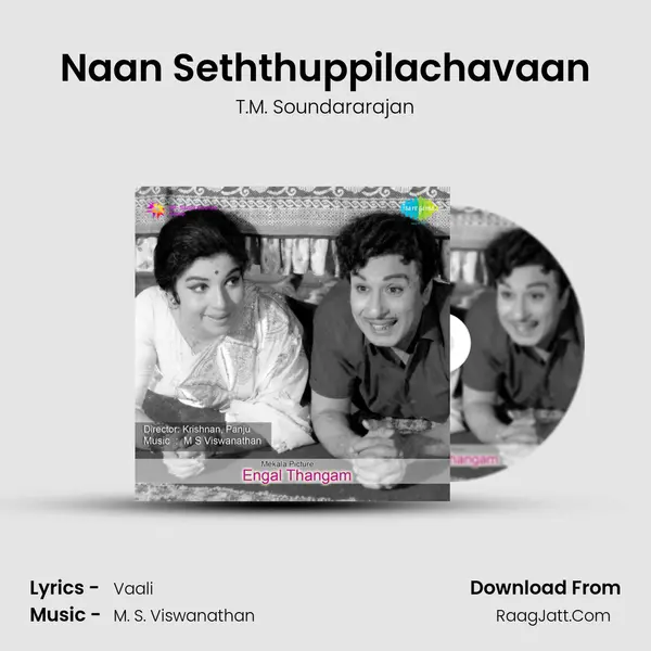 Naan Seththuppilachavaan Cover
