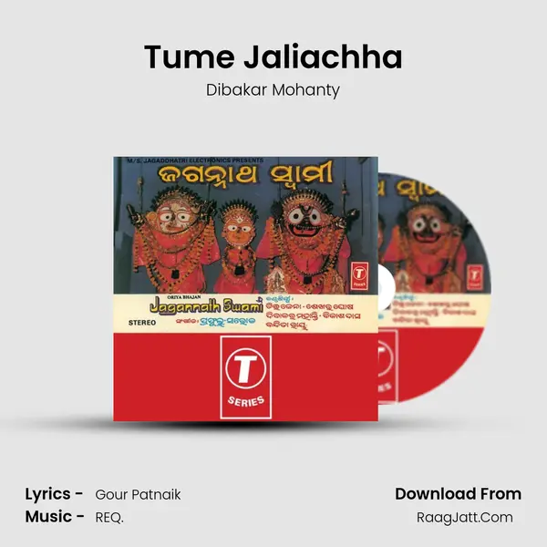 Tume Jaliachha MP3 Song by Dibakar Mohanty Cover