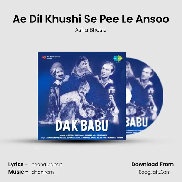 Ae Dil Khushi Se Pee Le Ansoo Cover