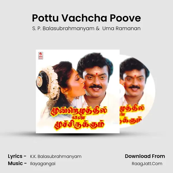 Pottu Vachcha Poove MP3 Song by S. P. Balasubrahmanyam Cover