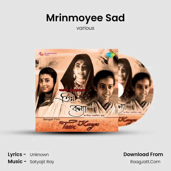 Mrinmoyee Sad MP3 Song by various Cover