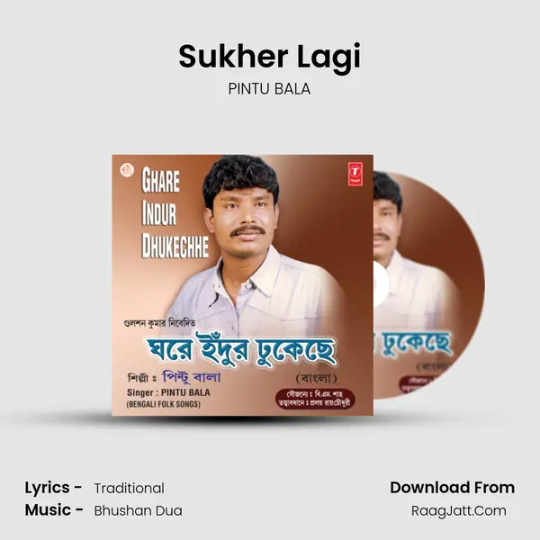Sukher Lagi MP3 Song by PINTU BALA Cover