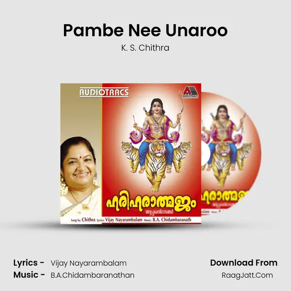 Pambe Nee Unaroo MP3 Song by K. S. Chithra Cover