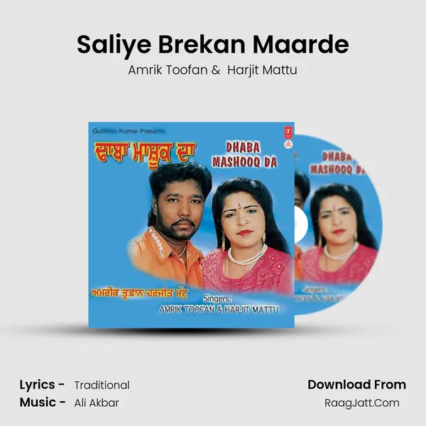 Saliye Brekan Maarde MP3 Song by Amrik Toofan Cover