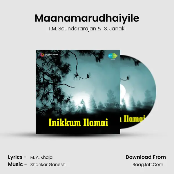 Maanamarudhaiyile MP3 Song by T.M. Soundararajan Cover