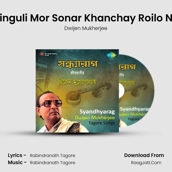 Dinguli Mor Sonar Khanchay Roilo Na Cover