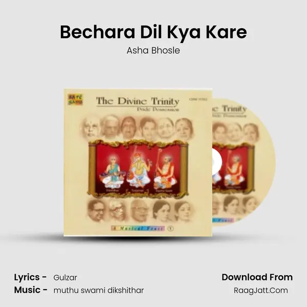 Bechara Dil Kya Kare Cover