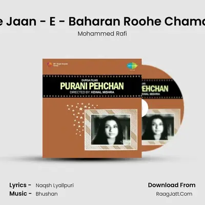Ae Jaan - E - Baharan Roohe Chaman mp3 song