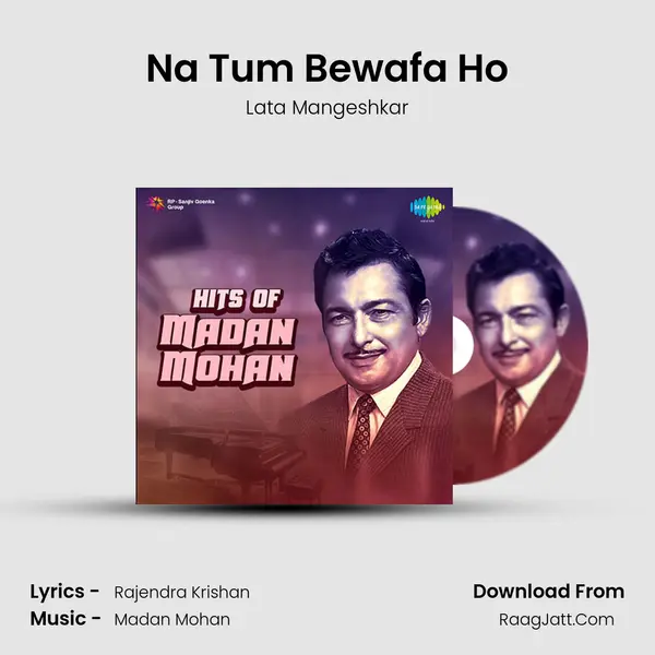 Na Tum Bewafa Ho Cover