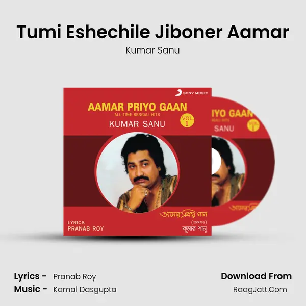 Tumi Eshechile Jiboner Aamar MP3 Song by Kumar Sanu Cover