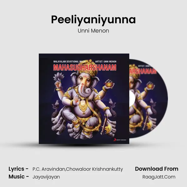 Peeliyaniyunna MP3 Song by Unni Menon Cover