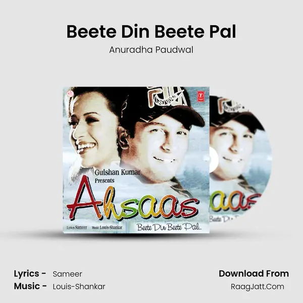 Beete Din Beete Pal MP3 Song by Anuradha Paudwal Cover