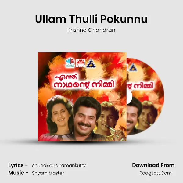 Ullam Thulli Pokunnu MP3 Song by Krishna Chandran Cover