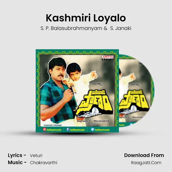 Kashmiri Loyalo MP3 Song by S. P. Balasubrahmanyam Cover