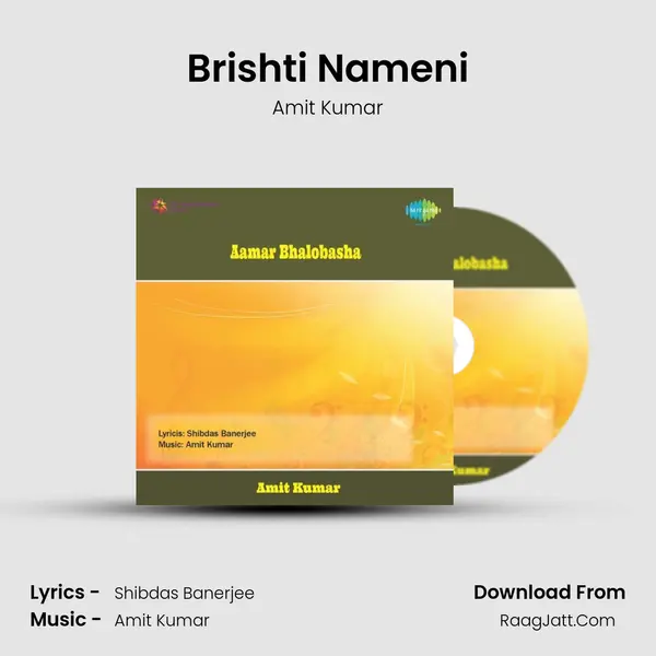 Brishti Nameni MP3 Song by Amit Kumar Cover