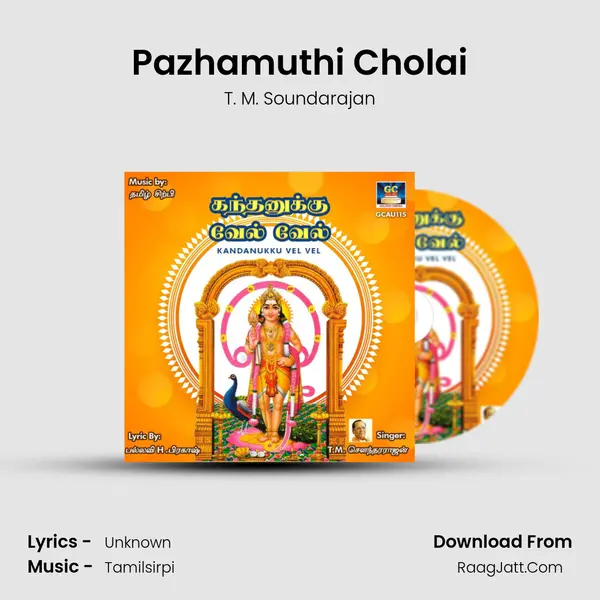 Pazhamuthi Cholai MP3 Song by T. M. Soundarajan Cover