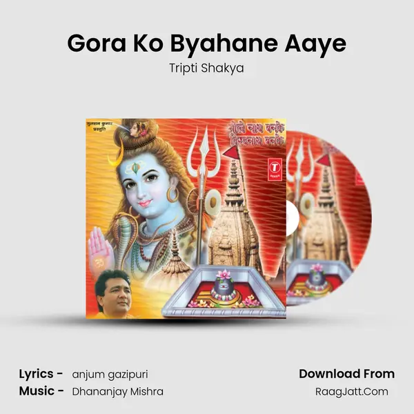 Gora Ko Byahane Aaye MP3 Song by Tripti Shakya Cover