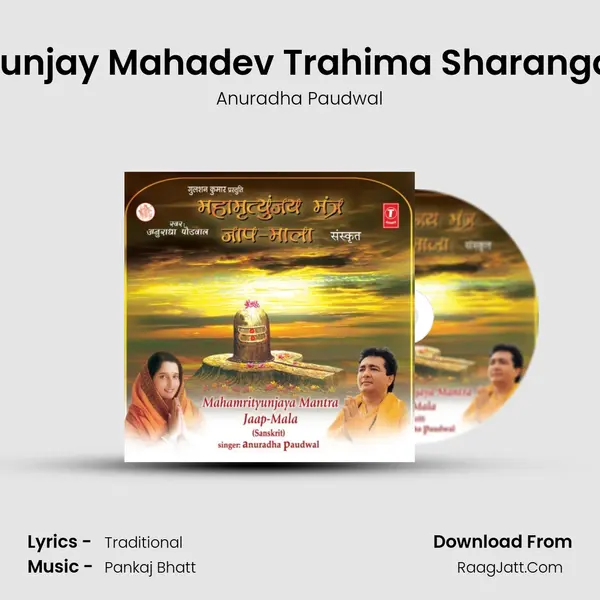Mahamrityunjay Mantra Jaap-Mala - Anuradha Paudwal
