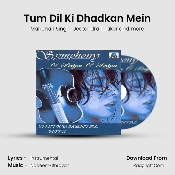 Tum Dil Ki Dhadkan Mein MP3 Song by Manohari Singh Cover