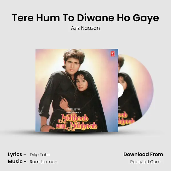 Tere Hum To Diwane Ho Gaye MP3 Song by Aziz Naazan Cover