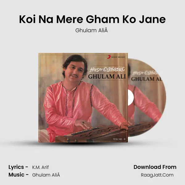Koi Na Mere Gham Ko Jane MP3 Song by Ghulam AliÂ  Cover