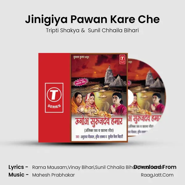 Jinigiya Pawan Kare Che MP3 Song by Tripti Shakya Cover