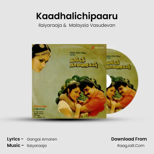 Kaadhalichipaaru MP3 Song by Ilaiyaraaja Cover