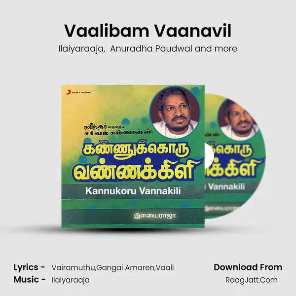 Vaalibam Vaanavil MP3 Song by Ilaiyaraaja Cover