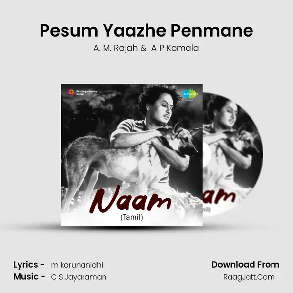 Pesum Yaazhe Penmane MP3 Song by A. M. Rajah Cover