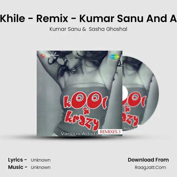 Tu Mile Dil Khile - Remix - Kumar Sanu And Alka Yagnik MP3 Song by Kumar Sanu Cover