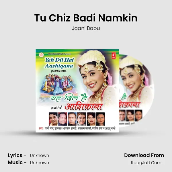 Tu Chiz Badi Namkin MP3 Song by Jaani Babu Cover
