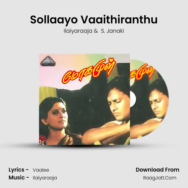 Sollaayo Vaaithiranthu MP3 Song by Ilaiyaraaja Cover
