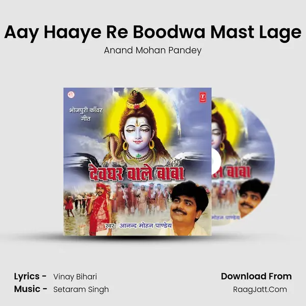 Aay Haaye Re Boodwa Mast Lage MP3 Song by Anand Mohan Pandey Cover