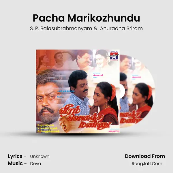 Pacha Marikozhundu MP3 Song by S. P. Balasubrahmanyam Cover
