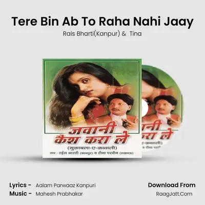 Tere Bin Ab To Raha Nahi Jaay Cover
