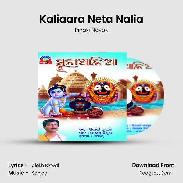 Kaliaara Neta Nalia MP3 Song by Pinaki Nayak Cover