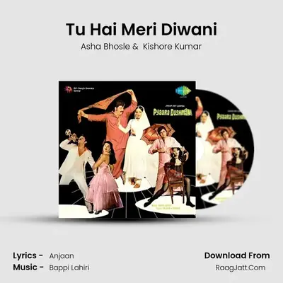 Tu Hai Meri Diwani MP3 Song by Asha Bhosle Cover
