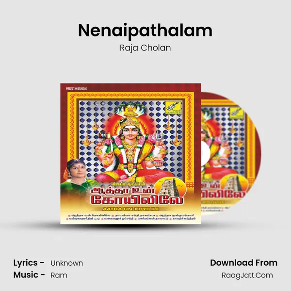 Nenaipathalam MP3 Song by Raja Cholan Cover