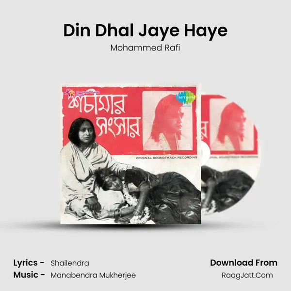 Din Dhal Jaye Haye Cover