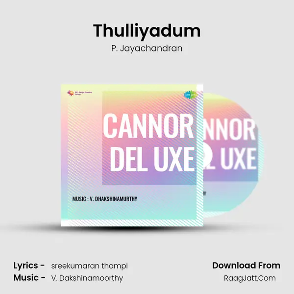 Thulliyadum MP3 Song by P. Jayachandran Cover